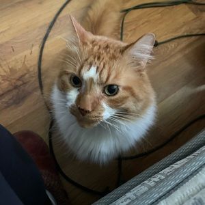 Meet your Posher, Ericka